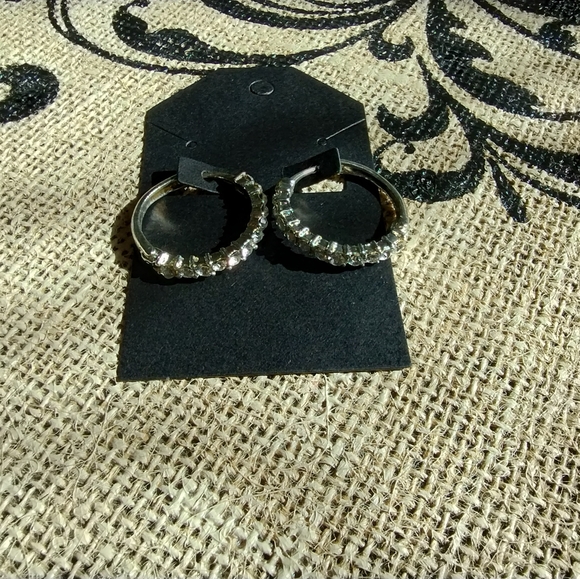 Rhinestone Hoop Earrings - Picture 13 of 13